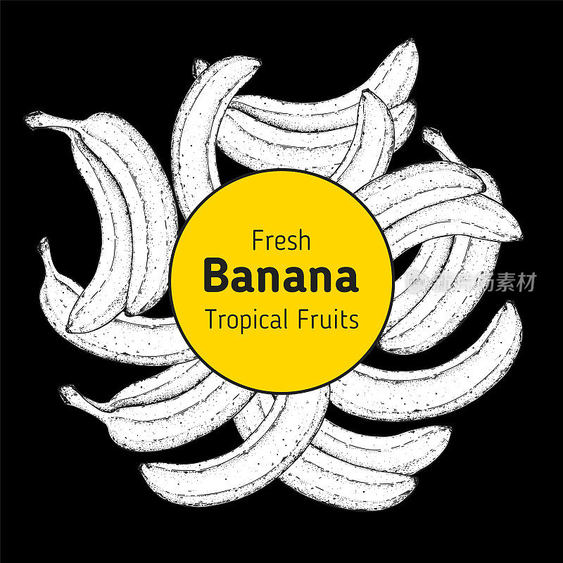 香蕉水果手绘标签。素描风格。矢量插图。设计、包装、宣传册插图。手绘香蕉水果设计模板。有机新鲜食品载体插图。