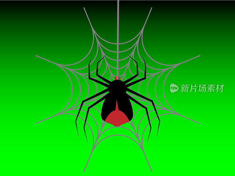 一只大蜘蛛正在自己的网上织网。