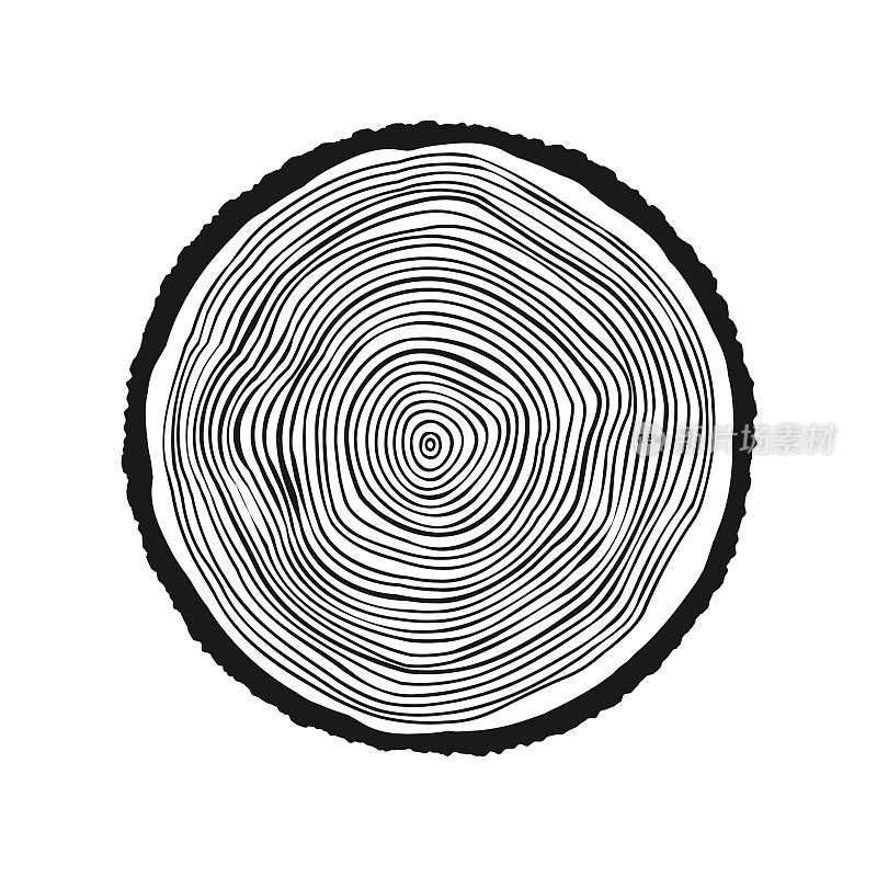 圆树干切割，锯松或橡木片。锯子砍木头，木头。木质的纹理和树的年轮。手绘草图。矢量图