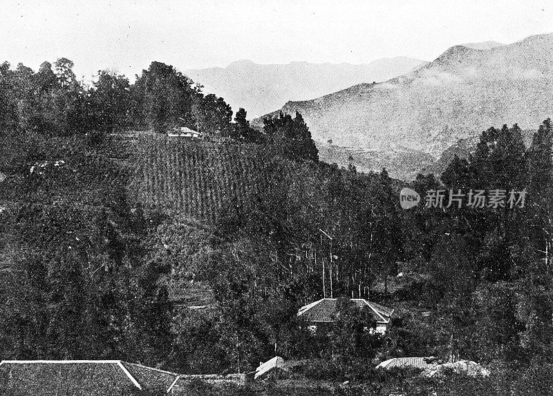 1895年印度的人物和地标:小谷里