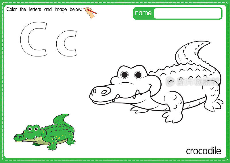 矢量插图的儿童字母着色书页与概述剪贴画，以颜色。字母C代表鳄鱼。