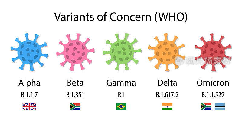 关注的变种，冠状病毒的插图。世卫组织使用希腊字母进行标识:alpha、beta、gamma、delta和omicron、科学标识(潘戈血统)以及首次发现它们的国家的国旗。