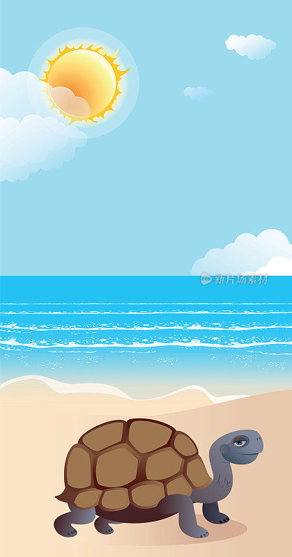加拉帕戈斯龟和海滩
