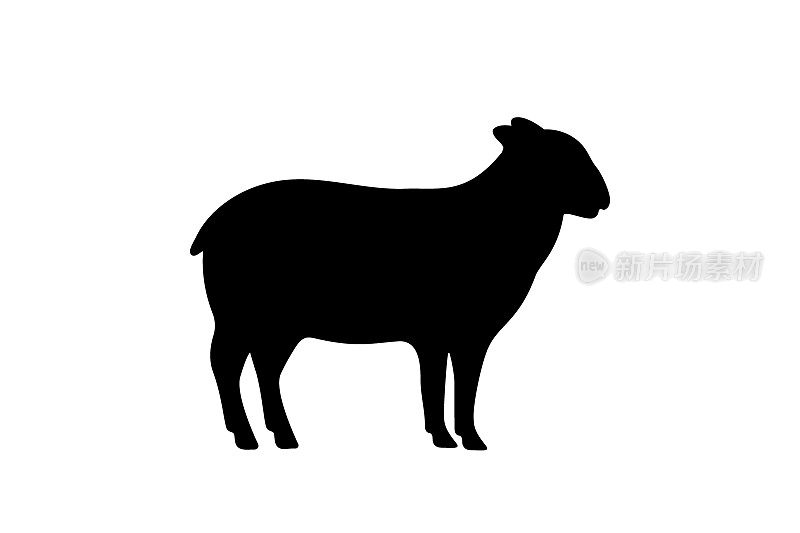 羊黑色剪影。羊的象征。Ram剪影。农场动物图标孤立在白色背景。