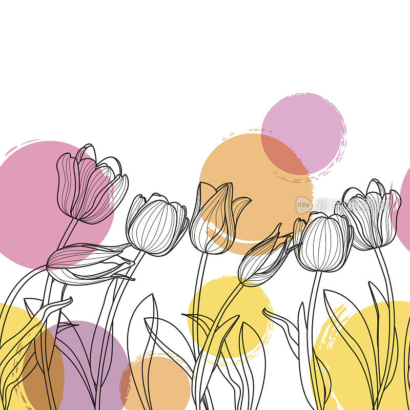 黑白手绘郁金香花和水彩斑点。