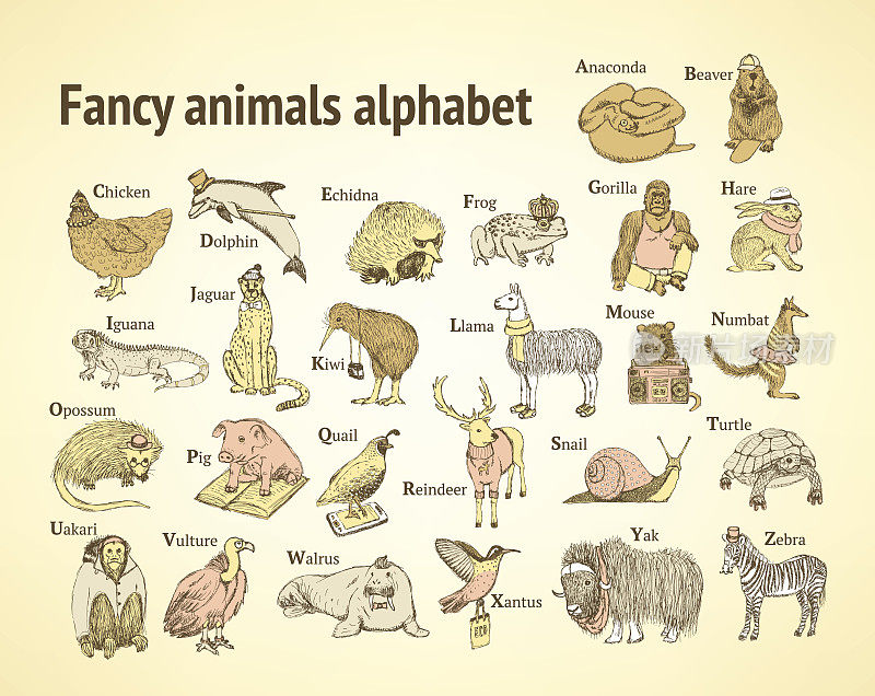 素描花哨的动物字母在复古风格