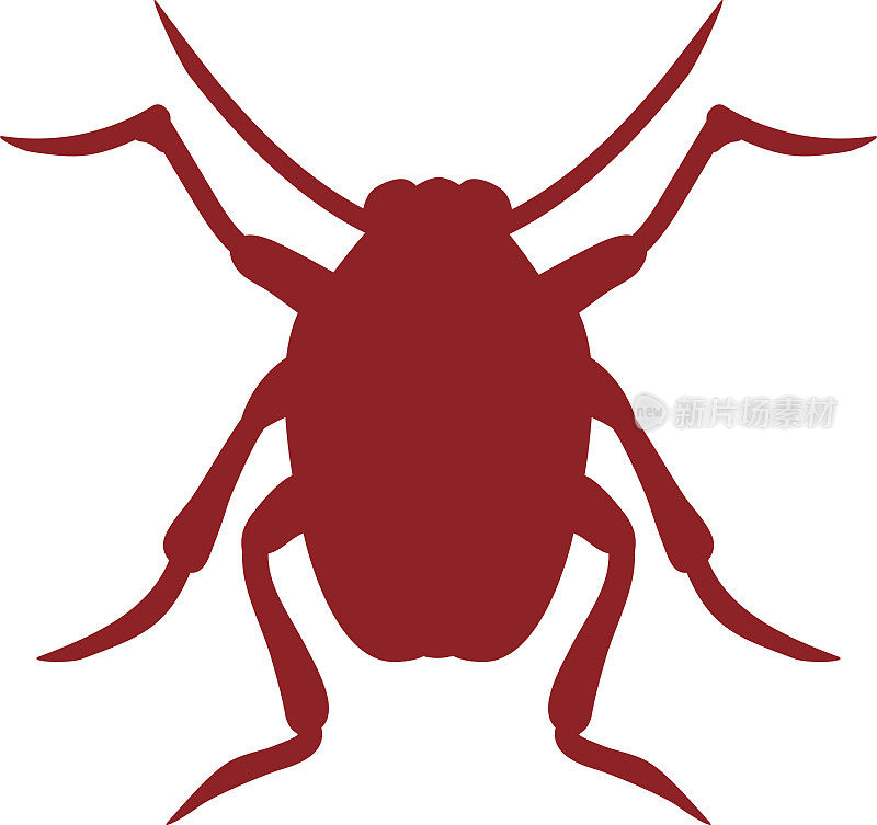 Bug图标甲虫孤立在白色背景向量上