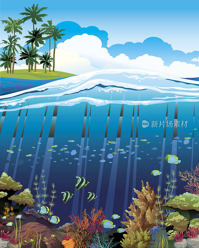 珊瑚礁和水下生物。