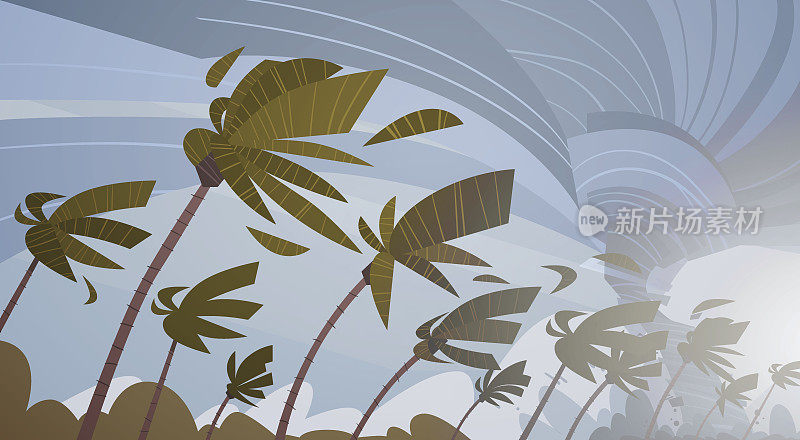 棕榈树上空盘旋的龙卷风飓风巨大的风暴热带自然灾害概念