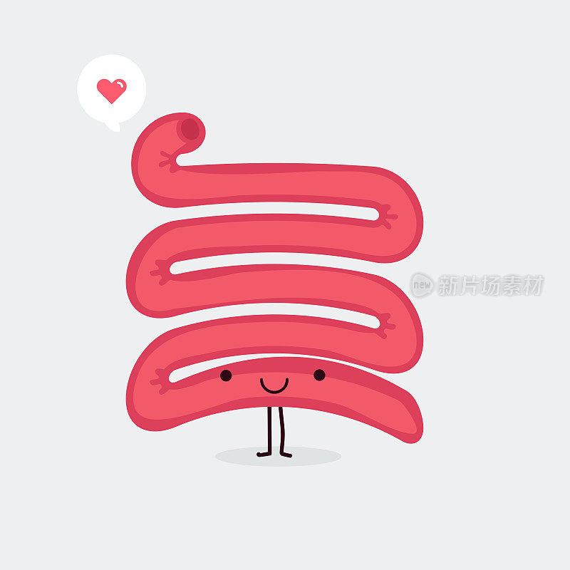 small-intestine-characters-02