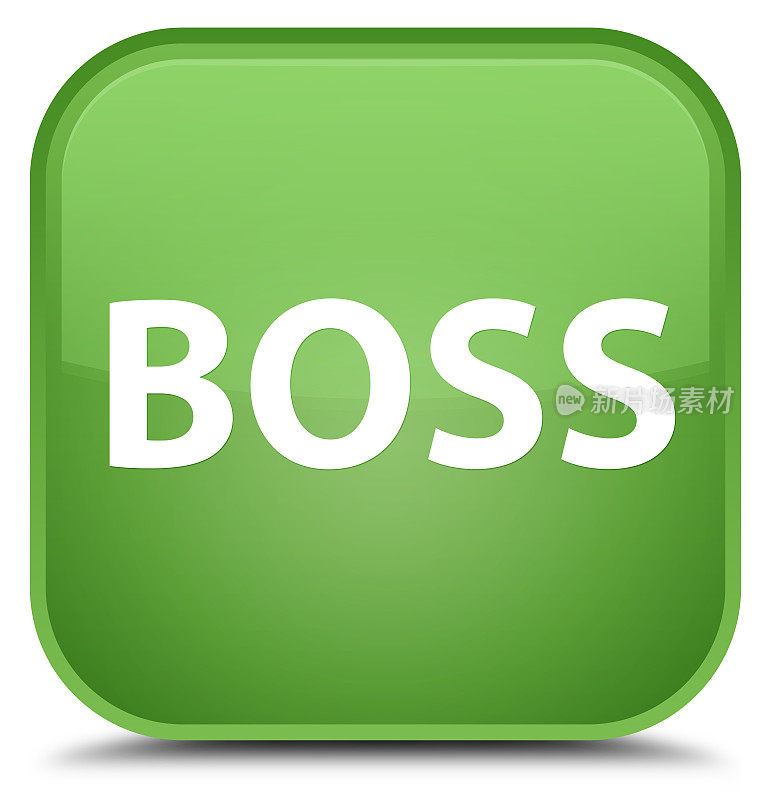 老板特制的绿色软方形按钮