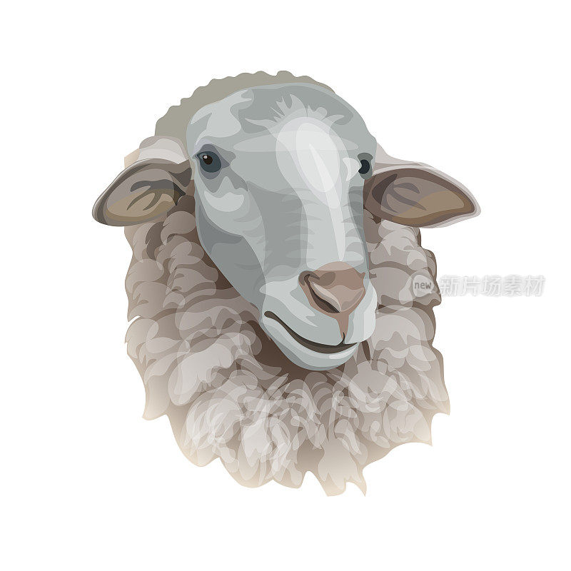 羊的头像