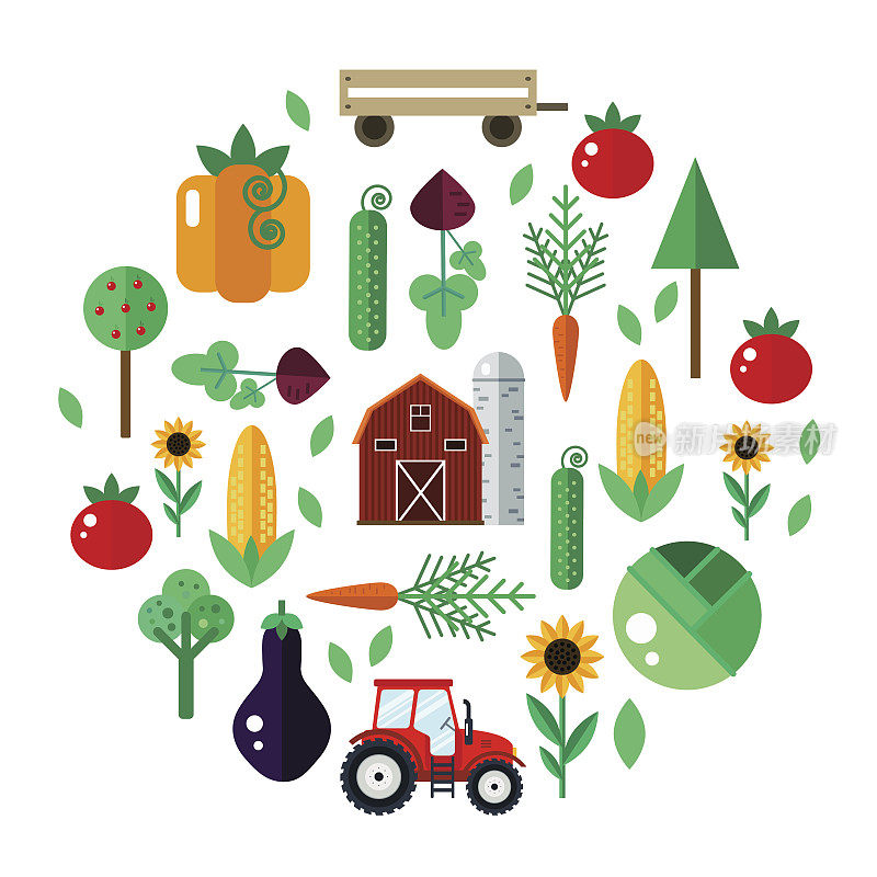 农场与拖拉机，蔬菜，谷仓，树木，向日葵矢量插图。