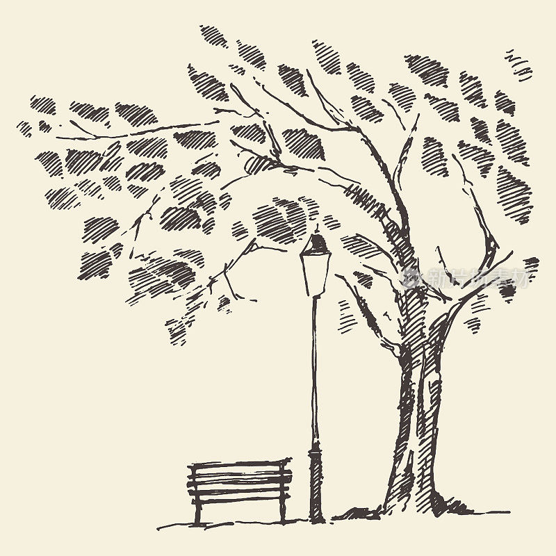 浪漫的树与长凳灯笼素描