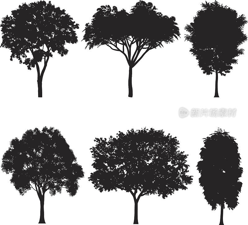 矢量插图的树木剪影