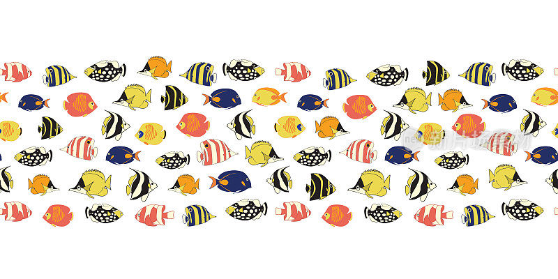 边界热带礁鱼无缝矢量瓦。色彩斑斓的鱼类装饰。蝴蝶鱼，触发小丑鱼，海葵鱼，神仙鱼，小丑鱼。绘制海洋水下设计的卡片，菜单，包装