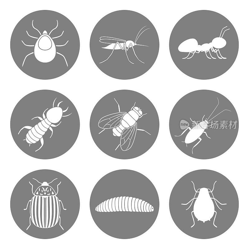 一组昆虫图标。害虫的象征。向量