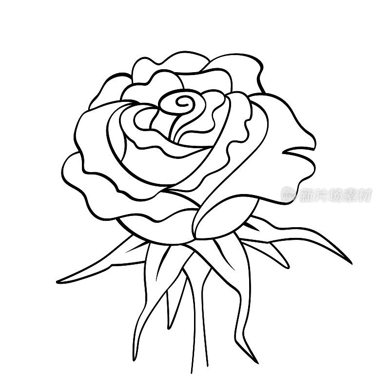 玫瑰花孤立，白色背景。花蕾、叶子，手绘黑色轮廓。自然，婚礼，植物，植物学，纹身。