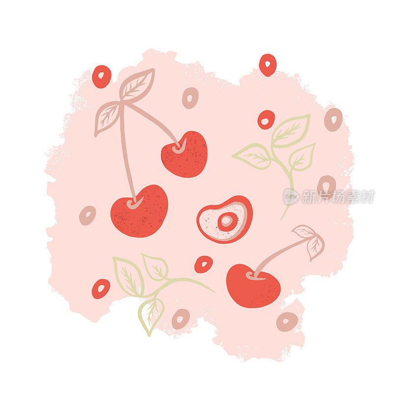 矢量图的樱桃水果。用樱桃的坑和叶子勾勒出樱桃的轮廓，用来制作海报、标志、标签、横幅，