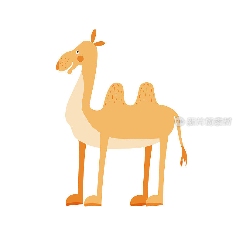 可爱的骆驼在简单的手绘风格。孤立在白色背景上的骆驼。