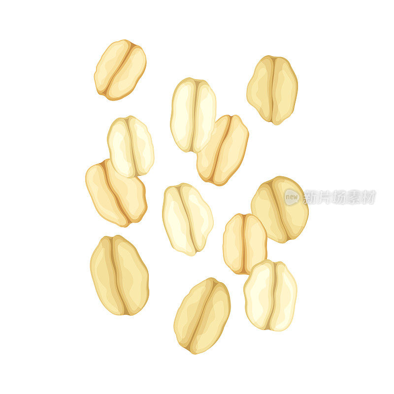 燕麦片作为全谷物食品与扁平的燕麦卷向量插图