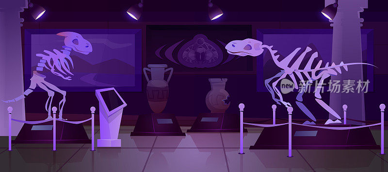 卡通夜晚古生物博物馆恐龙骨架