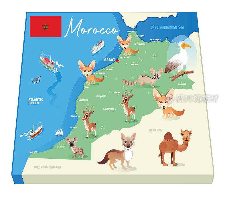 摩洛哥动物地图