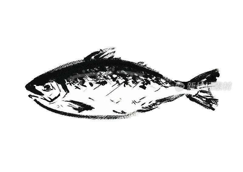 手绘的日本风格插图最好的鲑鱼称为Keiji日本风格的材料