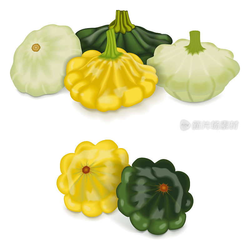 一组黄色，绿色和白色的帕蒂潘南瓜。扇贝或扇贝南瓜。西葫芦。Cucurbita浆果。水果和蔬菜。矢量插图隔离在白色背景上。
