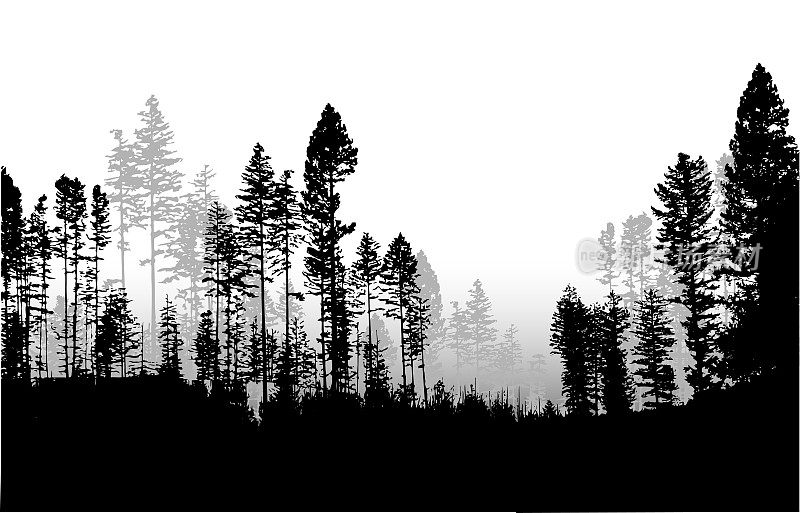 森林Telemark加拿大剪影