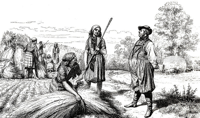 德国阿尔滕伯格土地上的农民在收获