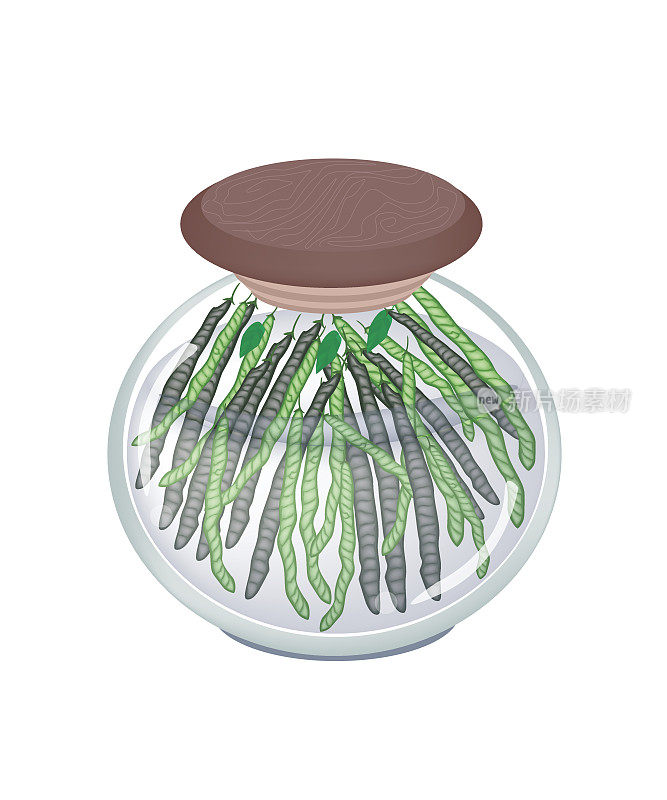 绿豆荚玻璃罐