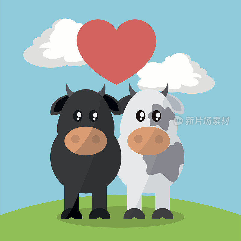 牛和公牛设计，矢量图形，动物插图