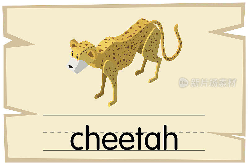 单词猎豹的单词卡模板