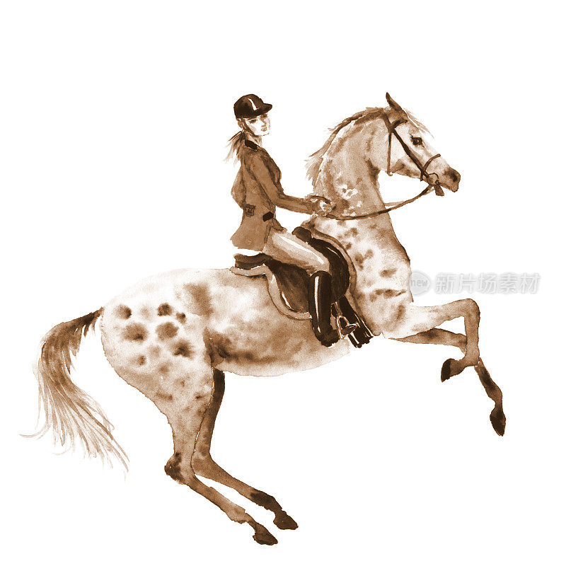 水彩骑手和马在白色。Sepia骑马的女孩在养牡马。英国马术运动。