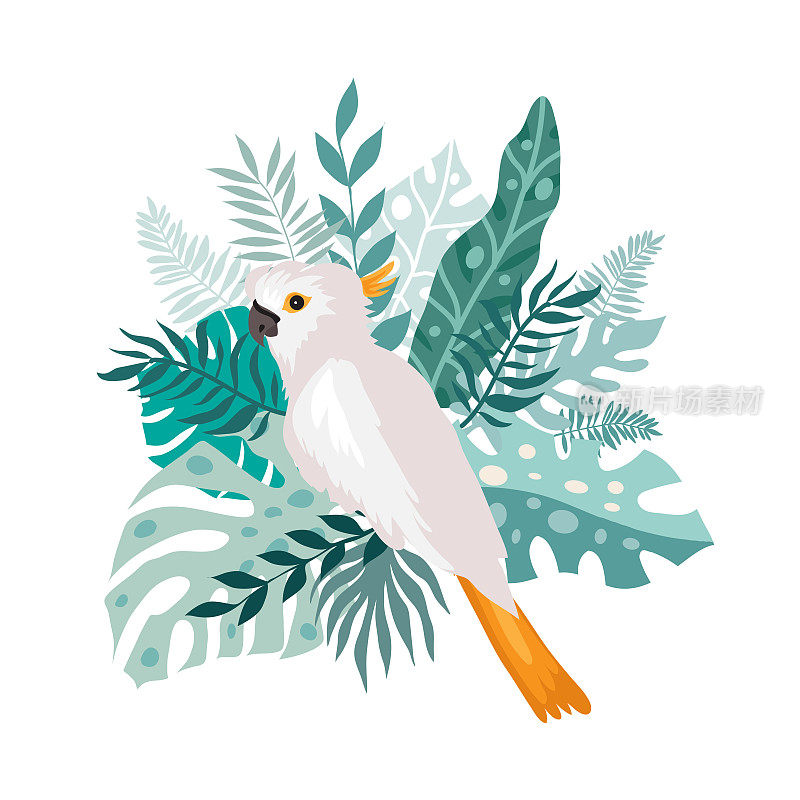 美丽的热带有热带鹦鹉，五颜六色的异域鸟，树叶，鲜花