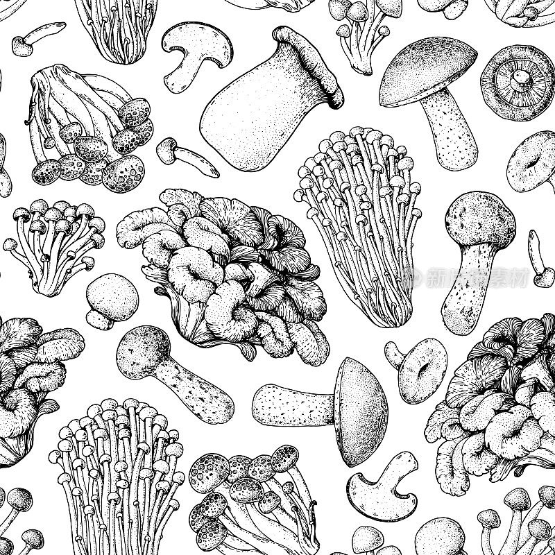 蘑菇无缝模式。手绘草图。各种蘑菇手绘矢量插图。食品的背景。森林蘑菇。黑色和白色。