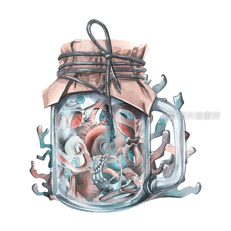 不同的贝壳装在一个有把手的玻璃罐中，用一根细绳将牛皮纸闭合，珊瑚环绕。在白色背景上的水彩插图从一组鲸鱼。装饰用的。