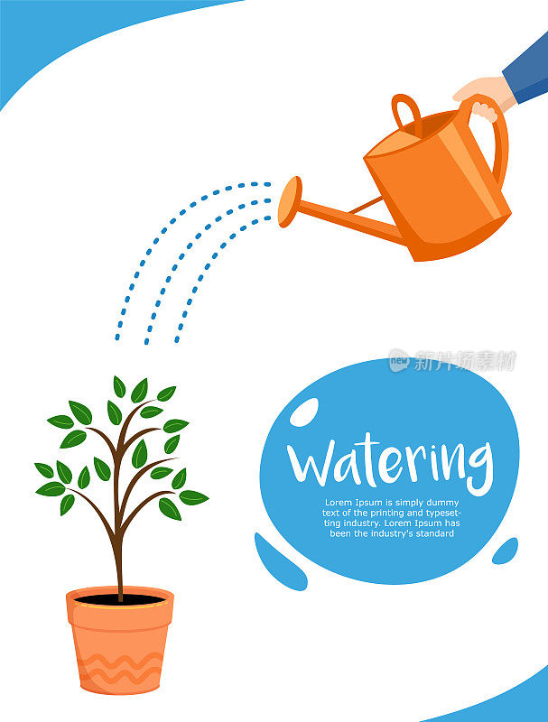 浇水。植物生长或业务的概念。