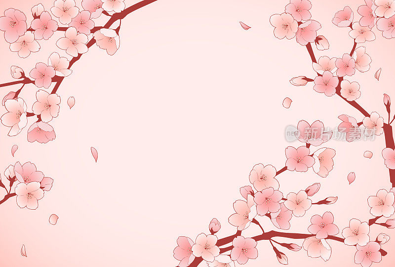 美丽的樱花框架材料