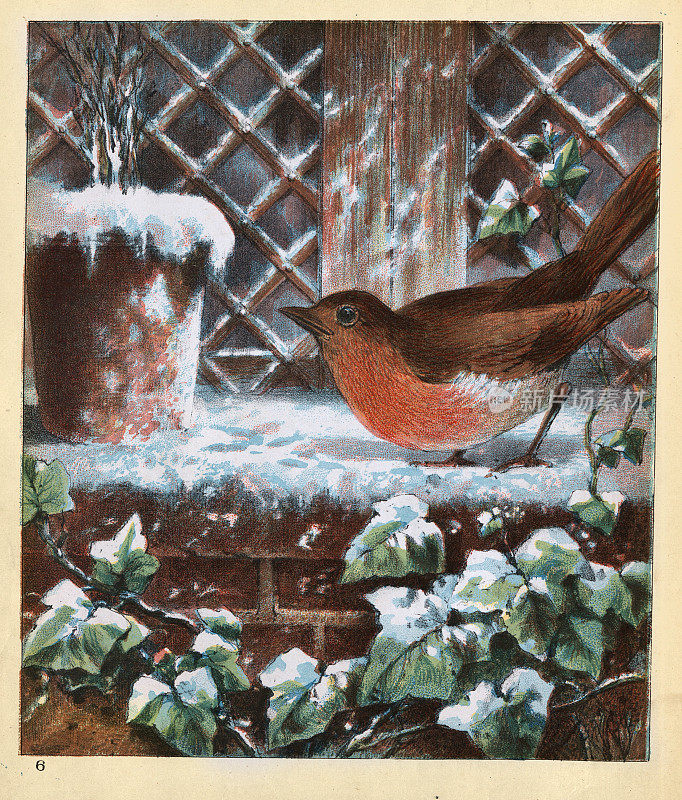 白雪覆盖窗台上的知更鸟红胸，圣诞节，冬天，鸟，十九世纪维多利亚艺术