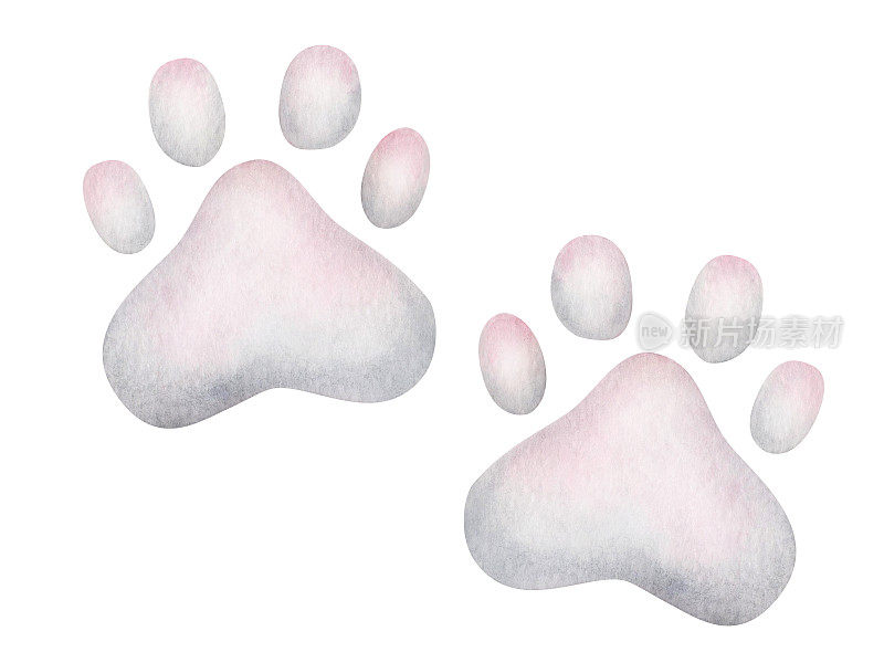 水彩插图。手绘粉红色和灰色的猫爪印，小狗。狗，猫的脚印。狗的爪子，猫的爪子。世界动物日。孤立的剪贴画海报，横幅，卡片