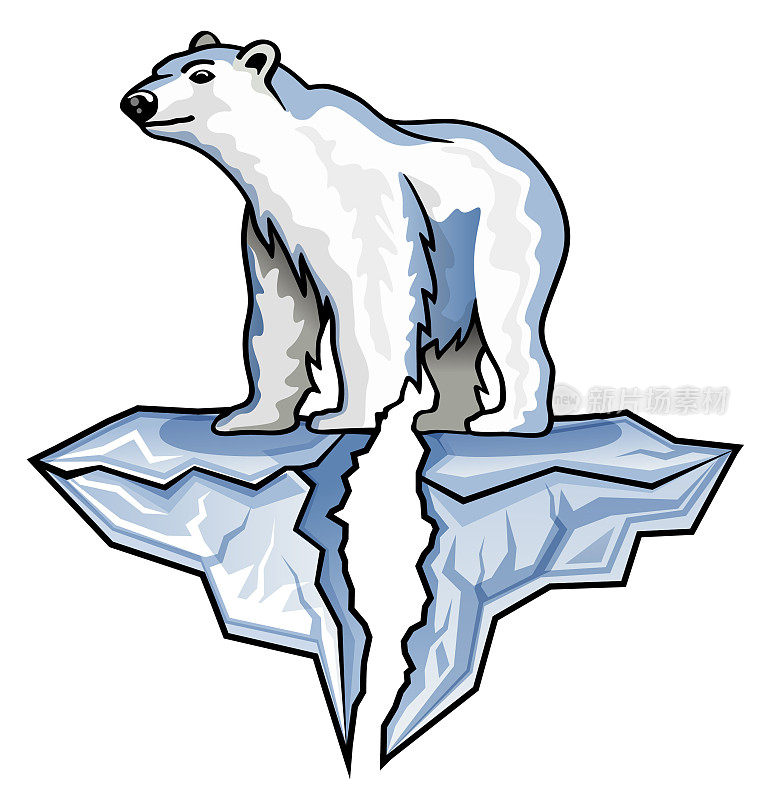 北极熊在北极站在破碎的冰山插图
