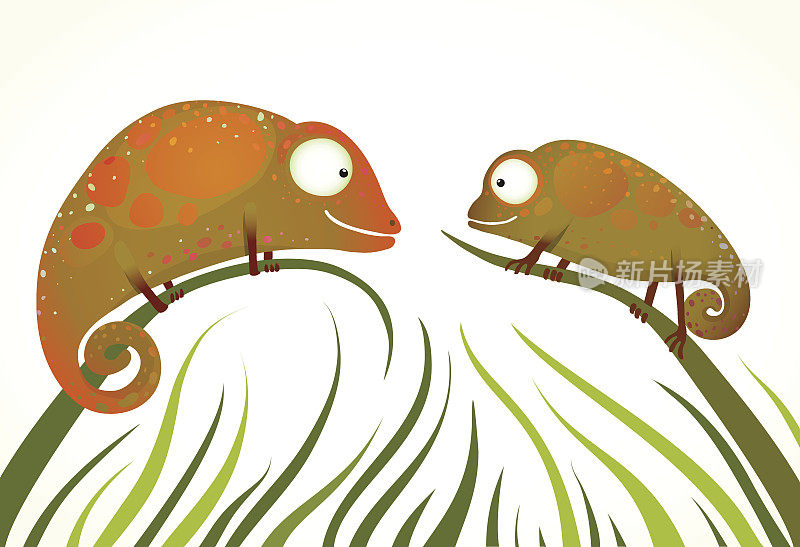 两只彩色的蜥蜴坐在草地上，背景凝视着