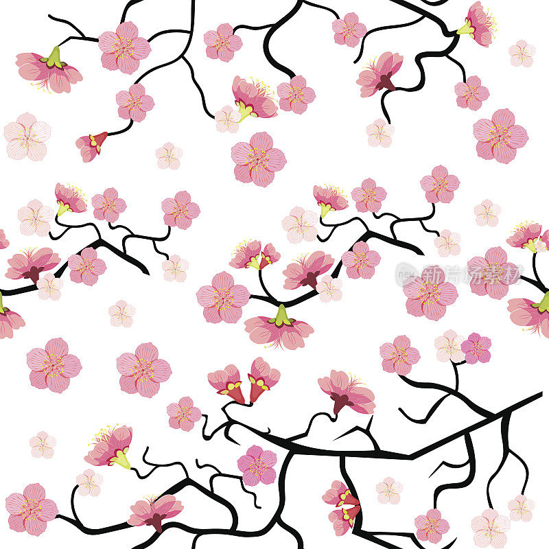 樱花花枝无缝图案。矢量插图