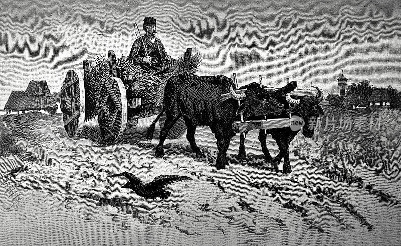 阿拉伯农民，有一辆马车