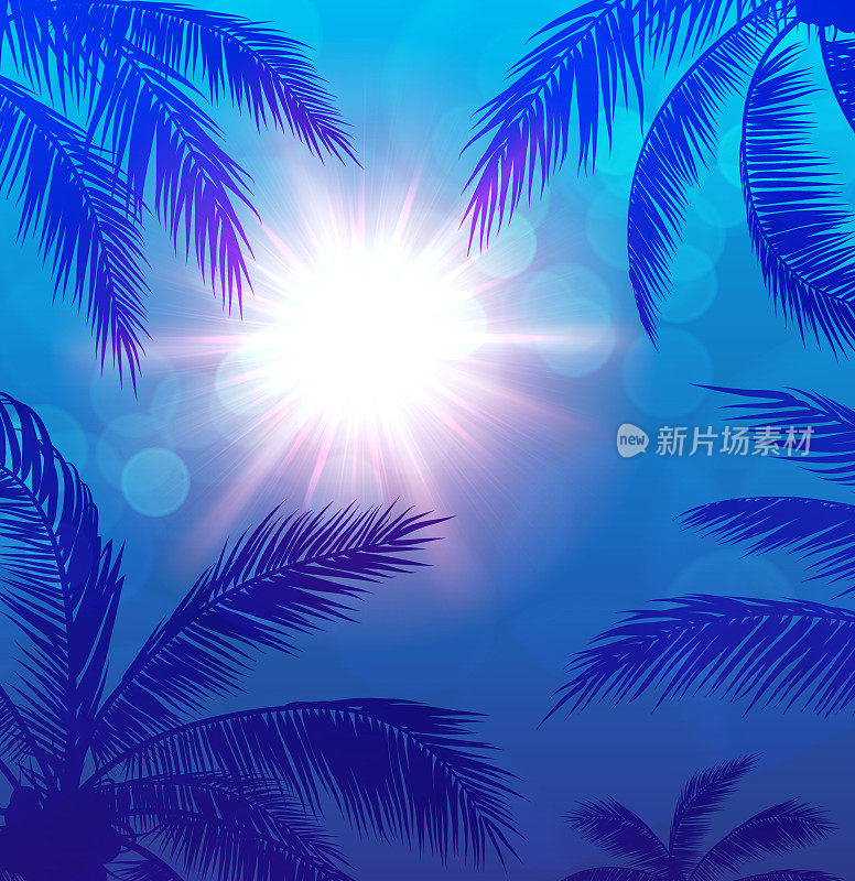 棕榈树和太阳蓝色背景