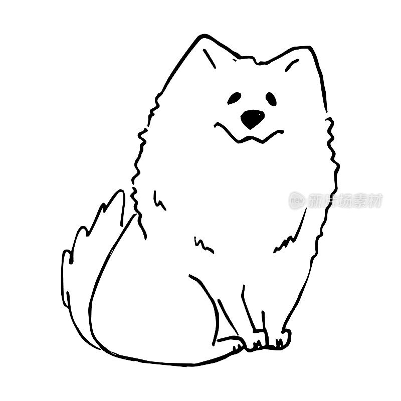 白色可爱微笑的萨摩耶狗手画矢量插图涂鸦。小狗角色设计草图。儿童概念儿童印刷，海报设计，包装纸，图案