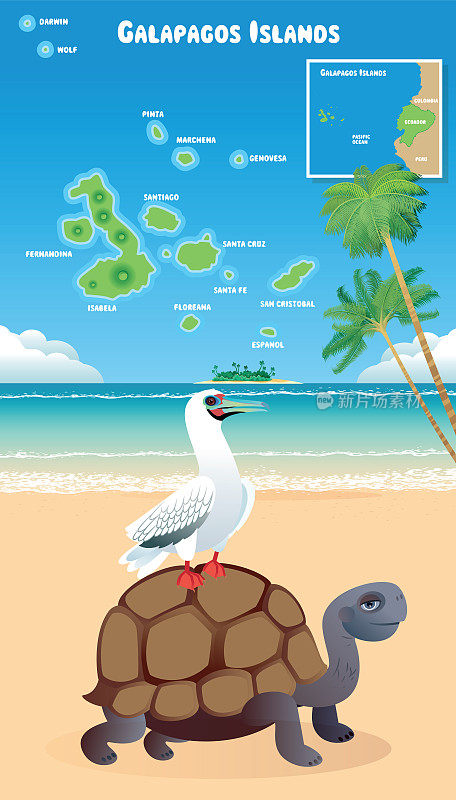 加拉帕戈斯群岛和红脚鲣鸟