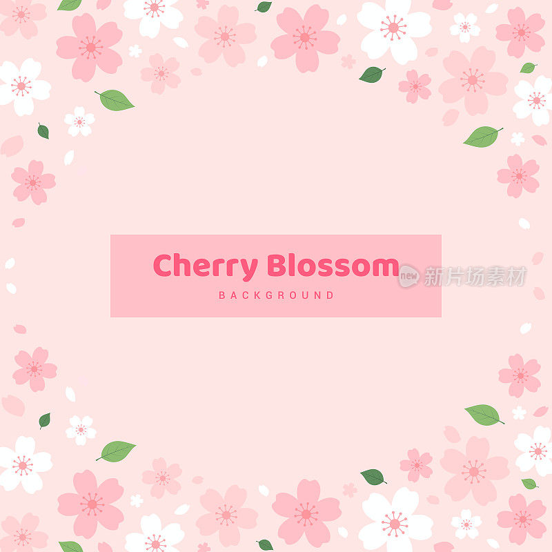 樱花的背景矢量插图。粉红色樱花花框